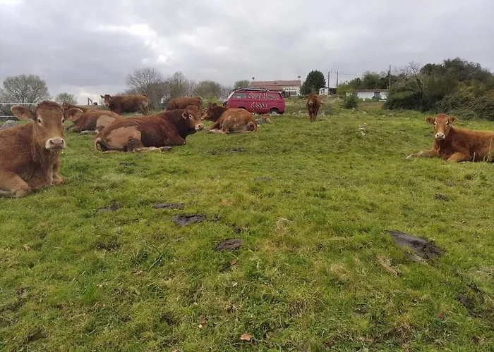 Surfhousegerra Vandrarhem *