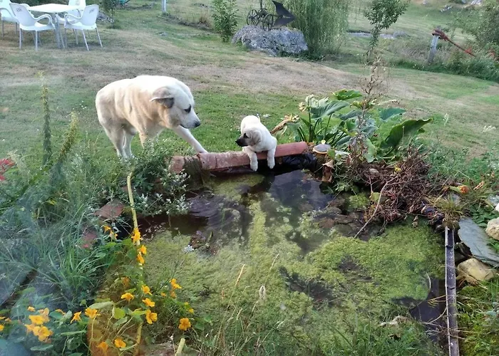 Surfhousegerra * San Vicente De La Barquera