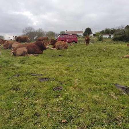 Surfhousegerra Ostello *