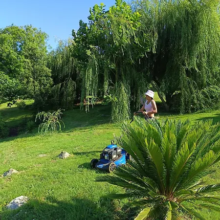 Surfhousegerra Hostel San Vicente De La Barquera